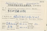 多態細濕蘚藏品圖，第2張