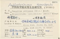 多態細濕蘚藏品圖，第2張