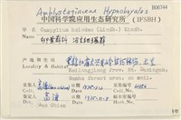 沼生細濕蘚藏品圖，第2張