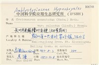 登錄號:B00006748藏品圖，第2張