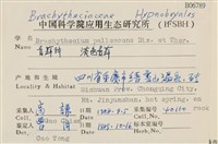 淡色青蘚藏品圖，第2張