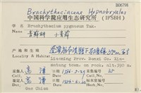 小青蘚藏品圖，第2張