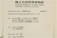 登錄號:B00006799藏品圖，第2張