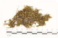 登錄號:B00006799藏品圖，第1張