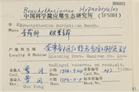 皺葉青蘚藏品圖，第2張