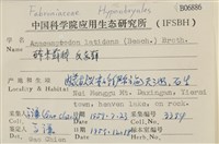 反齒蘚藏品圖，第2張