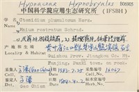 羽枝梳蘚藏品圖，第2張