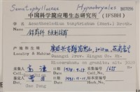 登錄號:B00007056藏品圖，第2張