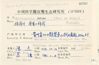 登錄號:B00007061藏品圖，第2張