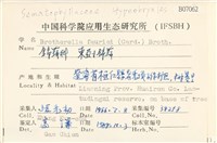 東亞小錦蘚藏品圖，第2張