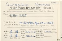 花錦蘚藏品圖，第2張