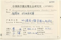 登錄號:B00007066藏品圖，第2張