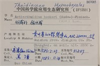 登錄號:B00007085藏品圖，第2張