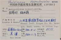 登錄號:B00007086藏品圖，第2張