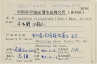 登錄號:B00007090藏品圖，第2張