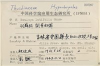 闊葉虫毛蘚藏品圖，第2張