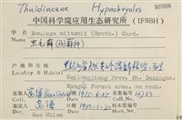 蟲毛蘚藏品圖，第2張