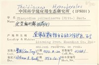 登錄號:B00007100藏品圖，第2張