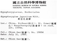 日本孔雀蘚藏品圖，第2張