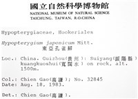 日本孔雀蘚藏品圖，第2張