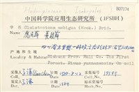 蔓枝蘚藏品圖，第2張