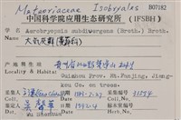 大灰氣蘚藏品圖，第2張