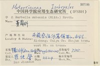登錄號:B00007186藏品圖，第2張