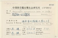 沼生護蒴苔藏品圖，第2張