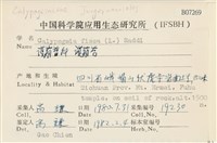 護蒴苔藏品圖，第2張