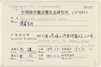 護蒴苔藏品圖，第2張