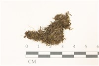 登錄號:B00007277藏品圖，第1張