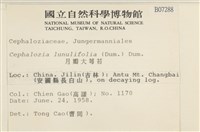 登錄號:B00007288藏品圖，第2張