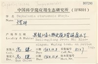 登錄號:B00007290藏品圖，第2張