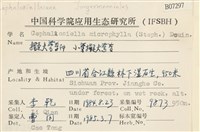 登錄號:B00007297藏品圖，第2張