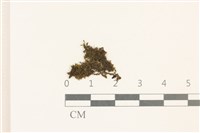 登錄號:B00007297藏品圖，第1張