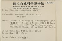 短托柄花萼苔藏品圖，第2張