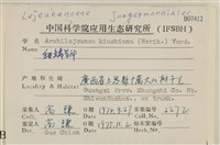 細鱗苔藏品圖，第2張