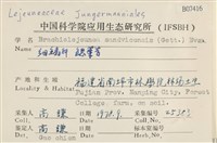 鰓葉苔藏品圖，第2張