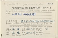 擬棉毛疣鱗苔藏品圖，第2張