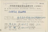 東亞疣鱗苔藏品圖，第2張