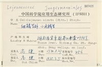 小疣鱗苔藏品圖，第2張