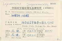 小疣鱗苔藏品圖，第2張