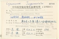 虎齒疣鱗苔藏品圖，第2張