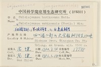 芳川疣鱗苔藏品圖，第2張