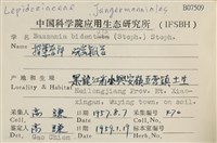 雙齒鞭苔藏品圖，第2張