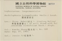 闊葉細裂苔藏品圖，第2張