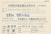 登錄號:B00007533藏品圖，第2張