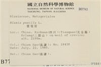 壺苞苔藏品圖，第2張