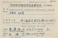 毛擬叉苔藏品圖，第2張