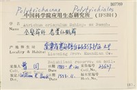 卷葉仙鶴蘚藏品圖，第2張